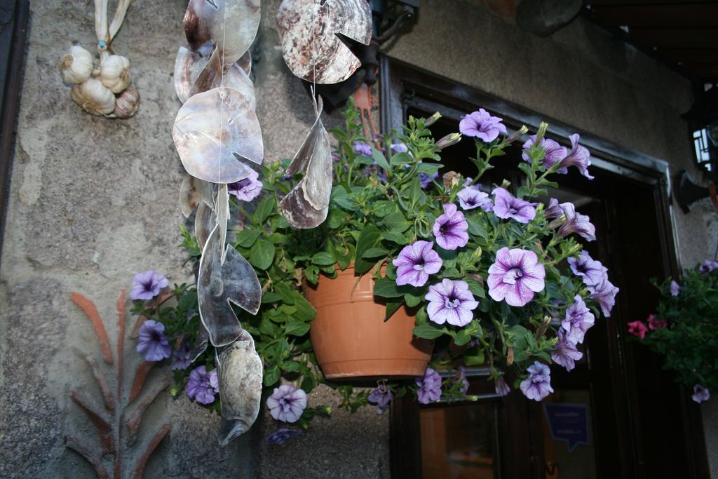 Assos Bohemian Hotel Luaran gambar