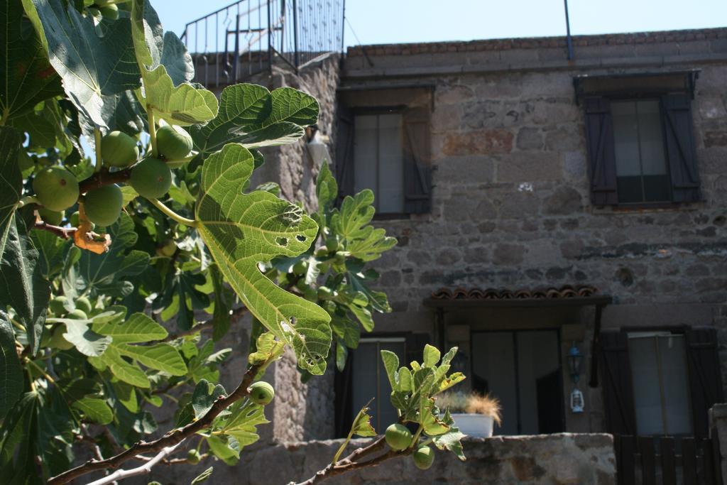 Assos Bohemian Hotel Luaran gambar