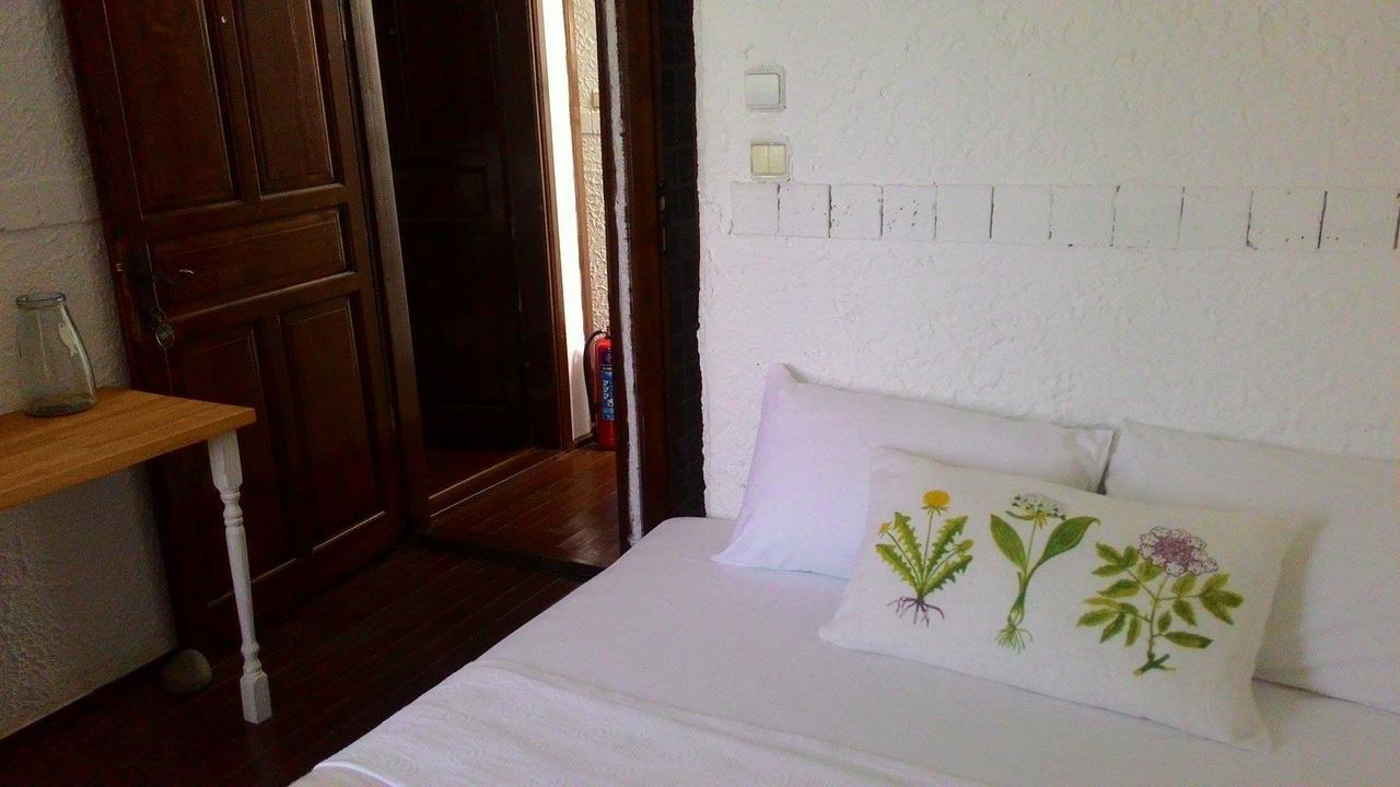 Assos Bohemian Hotel Luaran gambar